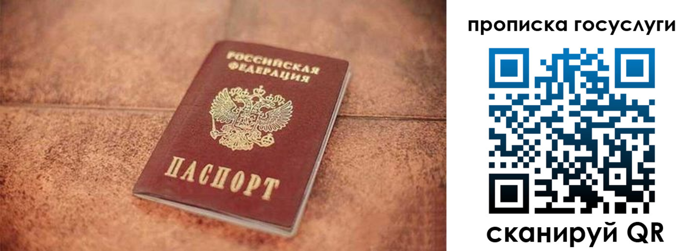 прописка законно в Дорогобуже